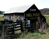 Mail Pouch Tobacco Barn DSCN2383-Web8x10.jpg