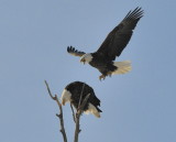 Landing Approach