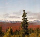 Tundra in the background and Taiga in the foreground