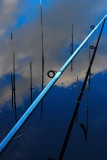 fishing rod.jpg