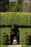 Topiary 2