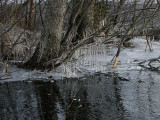 Lake Vllen in winter