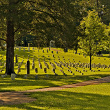 Morning at Shiloh National