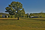 Farm, Leipers Fork