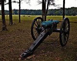 Cannon and Hay Field
