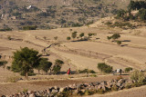 118.jpg