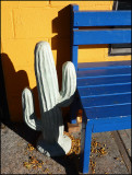 plaster plant.jpg