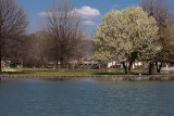 Oxford lake