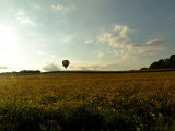 Afternoon landing