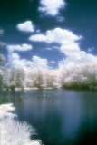 FOP lake w/orton effect