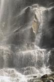 Cascades - Sharp Falls