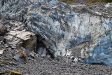 Fox Glacier close up
