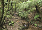 Otari Reserve