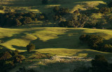 Akaroa Hills in Early Morning Light