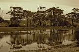 Ahuriri Lagoon