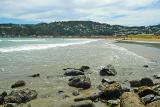 Lyall Bay