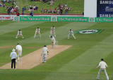 NZ vs Bangladesh