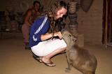 Kristine having her finger sucked from a tame capybara