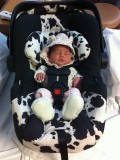 Ready for my first road trip