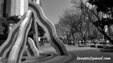 P1000130.jpg