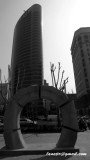 P1000137.jpg