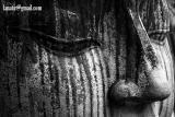Allseeing Eyes 1
