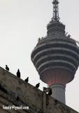 KL Tower