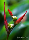 Botanical Gardens