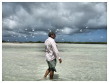 Pedrito Looks for Fish; Gulls Fly