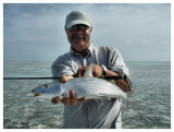 Bonefish