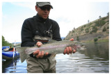 Missouri Bow