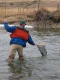 Netting a Fish