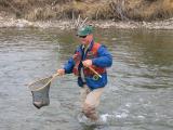 Landing a trout