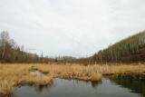 Ironside Pond