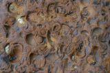 Geological Feature