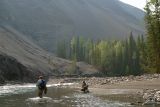 Ram River Vista
