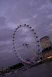 London Eye (Sore)