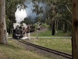 Third Place<br>Puffing Billy<br>By John Byrne