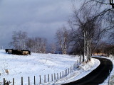 Winter In SW Virginia by Cathy Waters