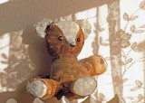 Teddy by Curtain Light <br> by Steve Grooms