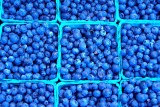 Blue Berries<br>by John Chandler