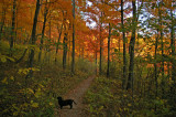 West Pinnacle trail