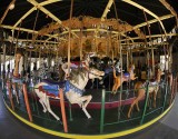 Balboa Park Carousel