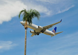 Plane meets Palm Tree