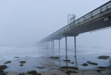 Ocean Beach Pier