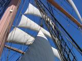 Between the Foremast and Mainmast