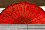 Japanese Umbrella 1