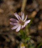 P2270682sm.jpg