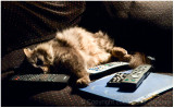 Go ahead, I dare you to try to take a remote!