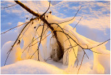 Backlit ice.